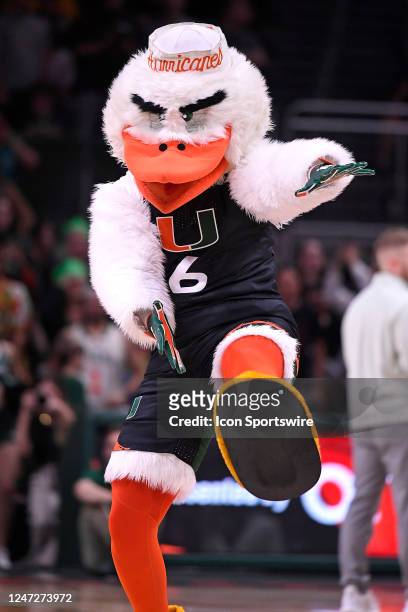 Miamis mascot, Sebastian the Ibis, fires up the crowd in the second half as the Miami Hurricanes faced the Wake Forest Demon Deacons on February 18...