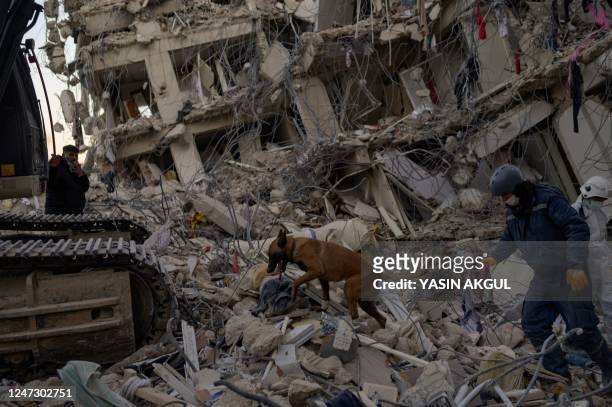 Members of the Uzbek search and rescue team use a dog as they look for a body under the rubble of a collapsed building in Hatay along the...