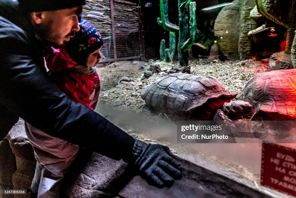 Sunday Visit To Kyiv Zoo Amid Ongoing War In Ukraine