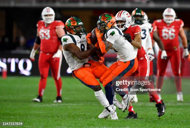 Seattle Sea Dragons linebacker Tre Walker and defensive back Linden Stephens collide while try gin to intercept a pass during the Seattle Sea Dragons...