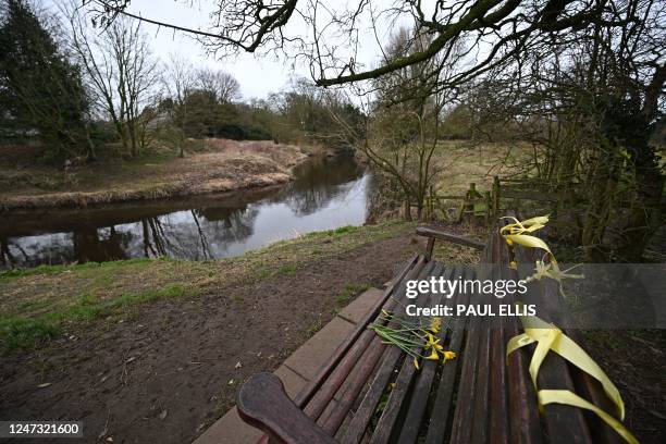 Daffodils and yellow ribbons are pictured on the bench that missing person Nicola 'Nikki' Bulley's phone was found on in January when she was last...