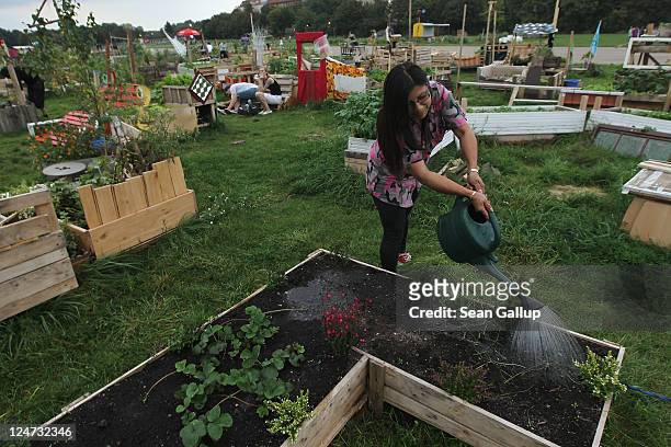 Paula Schaefer waters her garden, where she grows strawberries, tomatoes, flowers and potatoes, at an urban gardening colony called Allmende Kontor...