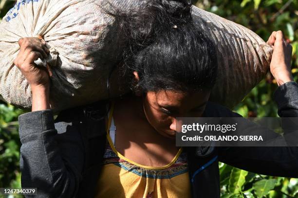 Woman carries on her back a bag of coffee beans at the "El Encanto" farm in a mountain in Siguatepeque, Honduras on February 9, 2023. - The "El...