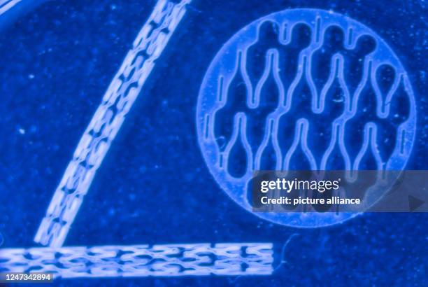February 2023, Mecklenburg-Western Pomerania, Warnemünde: Special stents for use in fallopian tubes are seen under a microscope at the Institute for...