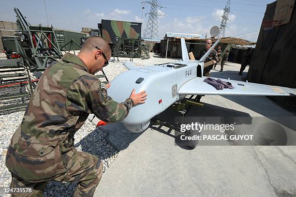 Sdti Examples 29 Sdti Stock Photos, High-Res Pictures, and Images - Getty Images