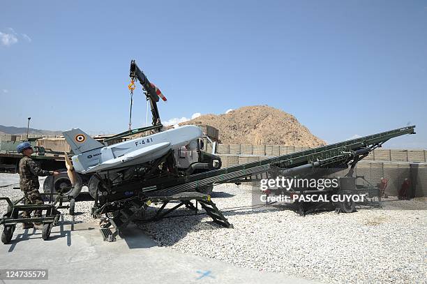 Sdti Examples 27 Sdti Stock Photos, High-Res Pictures, and Images - Getty Images