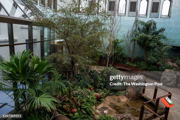 February 7: The Bird House, a sanctuary and exhibition center for birds, includes an exhibit about how shade-grown coffee helps bird habitats at...