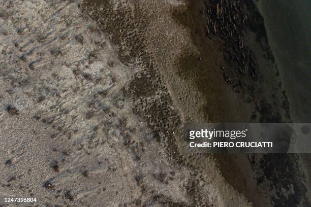 An aerial photo shows the riverbed of the river Po on February 21, 2023 at Ponte della Becca, in Linarolo, near Pavia. - A lack of snow on the...