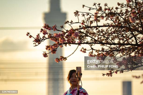 Woman takes photographs of a cherry blossom tree at a park in the Edogawa district of Tokyo on February 23, 2023.