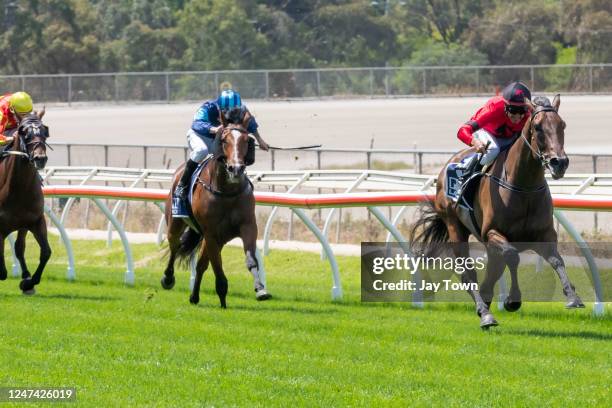 American Liaison ridden by Joe Bowditch wins the Wollert Lifestyle Group Maiden Plate at Kilmore Racecourse on February 24, 2023 in Kilmore,...