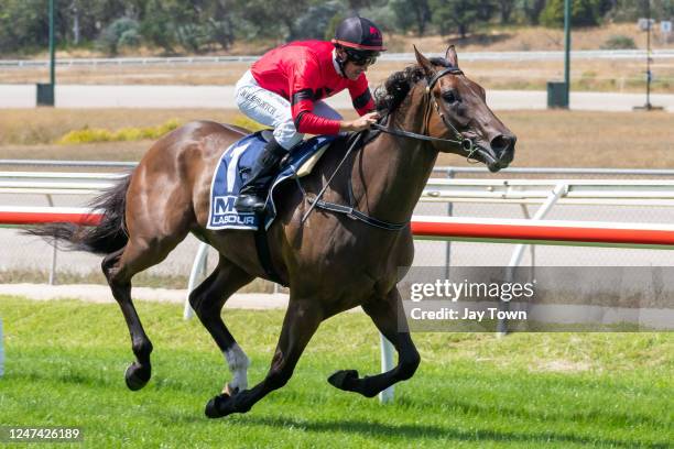 American Liaison ridden by Joe Bowditch wins the Wollert Lifestyle Group Maiden Plate at Kilmore Racecourse on February 24, 2023 in Kilmore,...