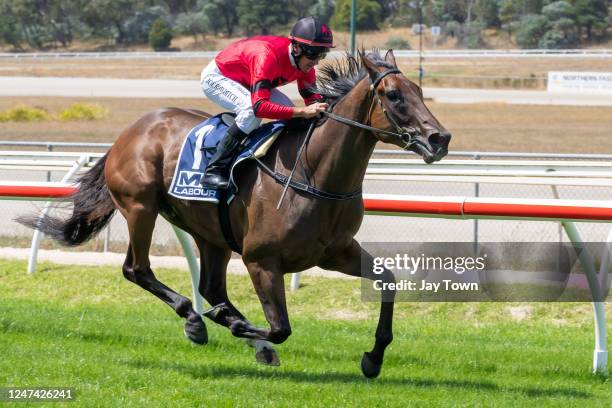 American Liaison ridden by Joe Bowditch wins the Wollert Lifestyle Group Maiden Plate at Kilmore Racecourse on February 24, 2023 in Kilmore,...