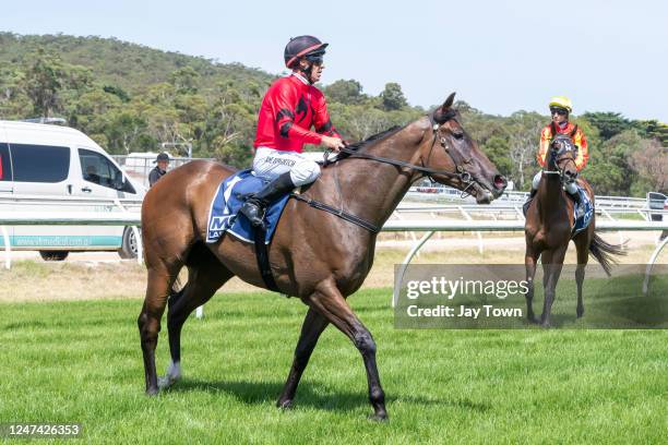 American Liaison ridden by Joe Bowditch returns to scale after winning the Wollert Lifestyle Group Maiden Plate at Kilmore Racecourse on February 24,...