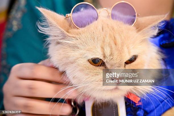 Participant holds her pet cat during a cat show in Dhaka on February 24, 2023.
