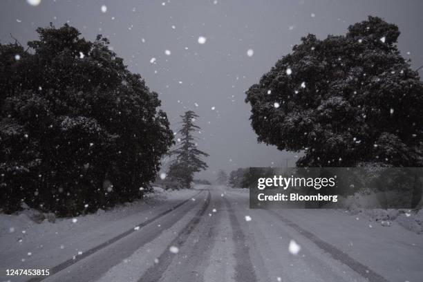 Snow during a storm in Mount Baldy, California, US, on Friday, Feb. 24, 2023. A sprawling winter storm is sweeping across the northern US this week,...