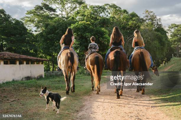 gruppo di giovani a cavallo - cavallo equino foto e immagini stock