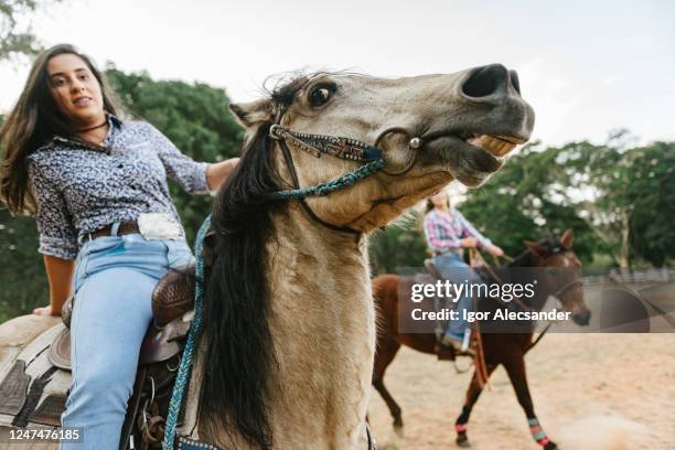 cowgirl bridling das pferd - buckle stock-fotos und bilder