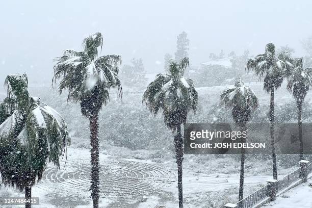 Heavy snow covers a line of palm trees near a home in Rancho Cucamonga, California, on February 25, 2023. - Heavy snow fell in southern California as...