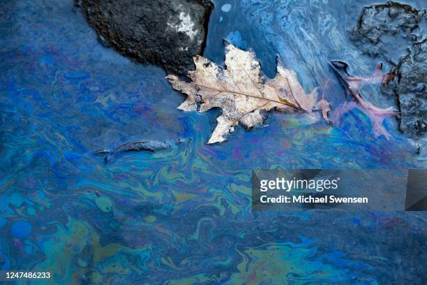 Toxic chemicals float on the surface of Leslie Run creek on February 25, 2023 in East Palestine, Ohio. On February 3rd, a Norfolk Southern Railways...