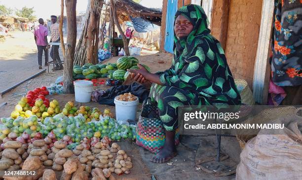 Woman sells vegetables along a street near the Kalma camp for the displaced just outside Nyala, the provincial capital of South Darfur state, on...
