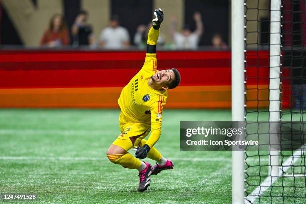 San Jose Earthquakes goalkeeper Daniel can not make the save as a goal scores during the MLS match between the San Jose Earthquakes and Atlanta...