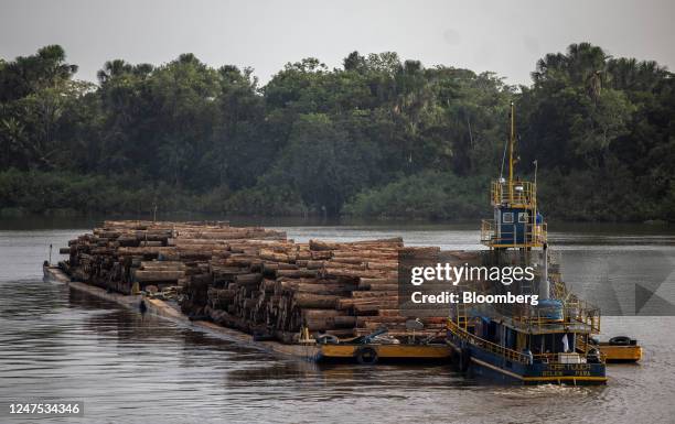 Barge transports timber logs through a tributary of the Amazon River near Breves, Para state, Brazil, on Wednesday, Sept. 21, 2022. In the heart of...