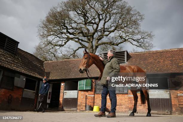 Racehorse trainer Paul Nicholls poses for a photograph alongside Bravemansgame during a press day at his Manor Farm stables in Ditcheat near Shepton...