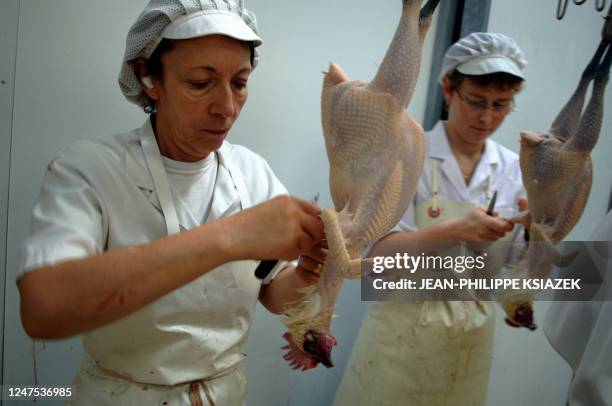 Employees of 'Le Chapon Bressan' plucks by handpoultry, 27 October 2005 in Montrevel-en-Bresse. Only Bresse poultry, known worldwide for its quality,...