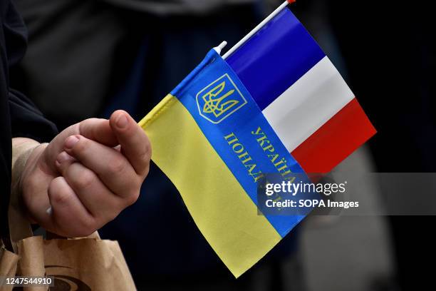 Protester holds Ukrainian and French flags in his hand during the demonstration in front of the Russian consulate in Marseille. Ukrainians from...
