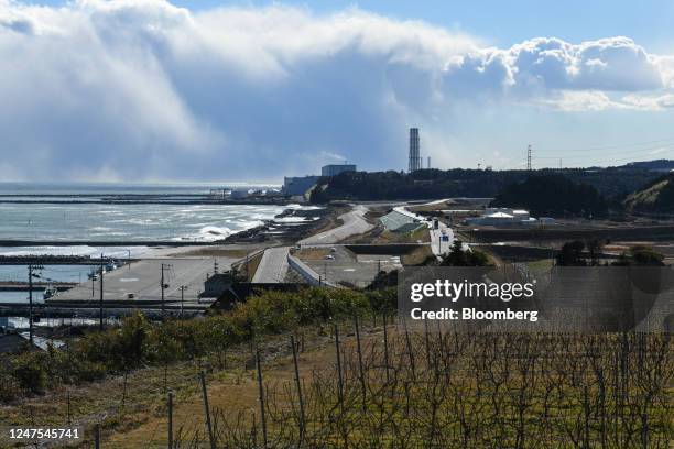 Bare vines and Tokyo Electric Power Co.'s Fukushima Dai-Ni nuclear power plant, back, in Tomioka, Fukushima Prefecture, Japan, on Friday, Dec. 23,...