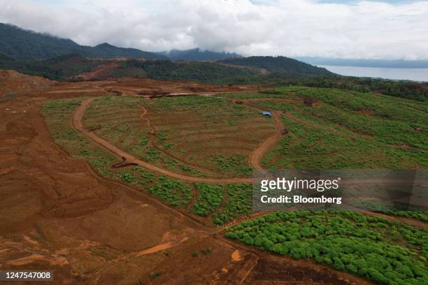Reclamation area at a nickel mine operated by PT Vale Indonesia in Sorowako, South Sulawesi, Indonesia, on Monday, June 13, 2022. The value of...