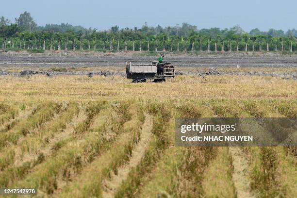 Farmer works in a paddy field in Can Tho city of southern Vietnam's Mekong Delta on February 28, 2023.