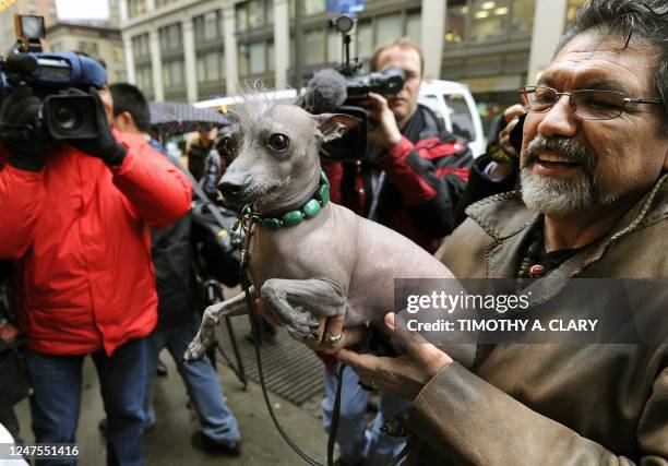 Jose Barrera holds up Alma Dulce, a 2 year old female hairless Xoloitzcuintli, one of the six new breeds as they arrive in New York January 26, 2012...