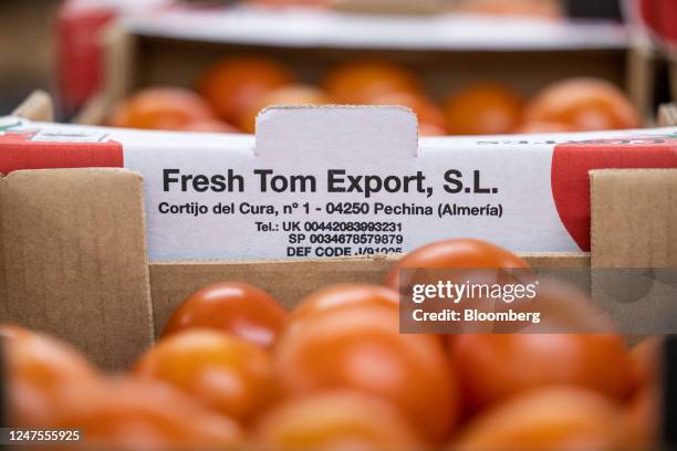 Crate of tomatoes imported from Spain at the D & F McCarthy Ltd. Fresh fruit and vegetable wholesaler in Norwich, UK, on Tuesday, Feb. 28, 2023. An...