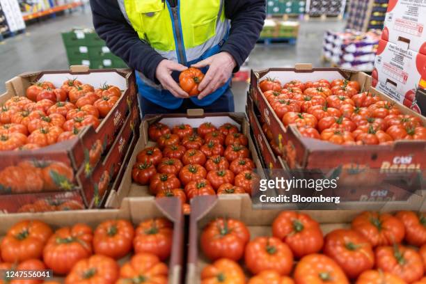An employee checks tomatoes imported from Spain at the D & F McCarthy Ltd. Fresh fruit and vegetable wholesaler in Norwich, UK, on Tuesday, Feb. 28,...