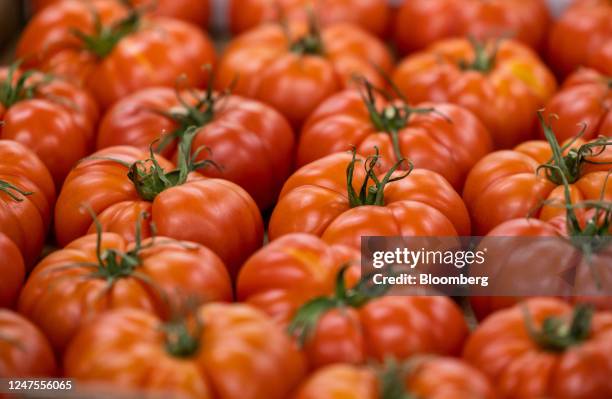 Tomatoes imported from Spain at the D & F McCarthy Ltd. Fresh fruit and vegetable wholesaler in Norwich, UK, on Tuesday, Feb. 28, 2023. An acute...