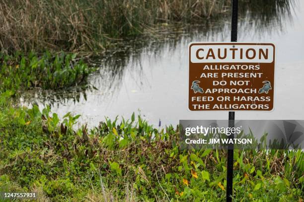 Sign warns of alligators at Orlando Wetlands Park in Christmas, Florida, on February 28, 2023. - The 1650-acre park is a man-made wetland designed to...