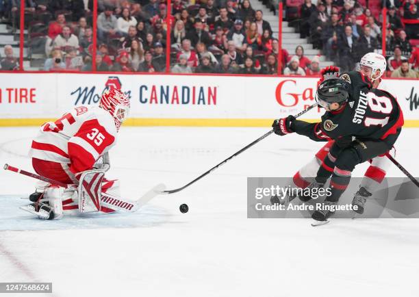 Tim Stützle of the Ottawa Senators shoots the puck against Ville Husso of the Detroit Red Wings as he is pushed by Filip Hronek, a penalty shot would...