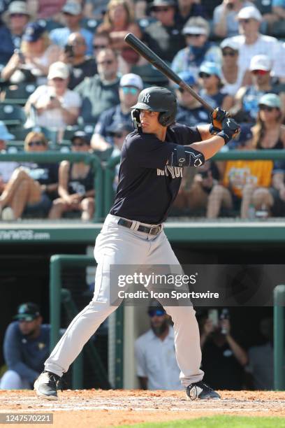 New York Yankees outfielder Spencer Jones at bat during the MLB Spring Training game between the New York Yankees and the Tampa Bay Rays on February...