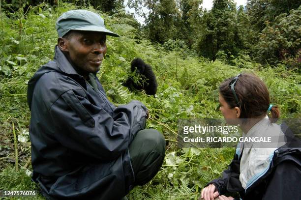 French journalist Rachel Fleaux-Mulot observes 24 April 2004 Mambo, a 3 year-old gorilla at the National Park of Virunga in the Democratic Republique...