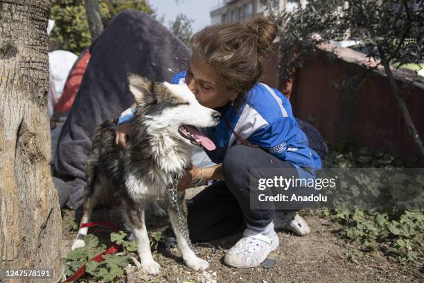 Personnel caresses a dog, named "Aleks", who is received a treatment after 22 days of being rescued from under the rubble following 7.7 and 7.6...