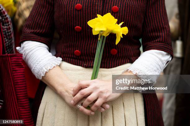 Woman in traditional dress holds daffodils during a St. Davids day parade through the city centre on March 1, 2023 in Cardiff, Wales. Saint David's...