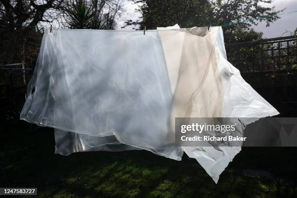 Plastic sheeting that's been pegged to a washing line for airing, has the appearance of an animal or beast of some some description - possibly a lion...