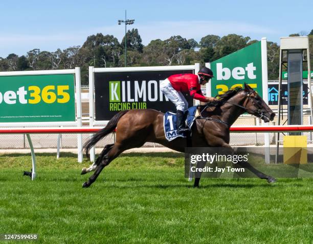 American Liaison ridden by Joe Bowditch wins the Wollert Lifestyle Group Maiden Plate at Kilmore Racecourse on February 24, 2023 in Kilmore,...