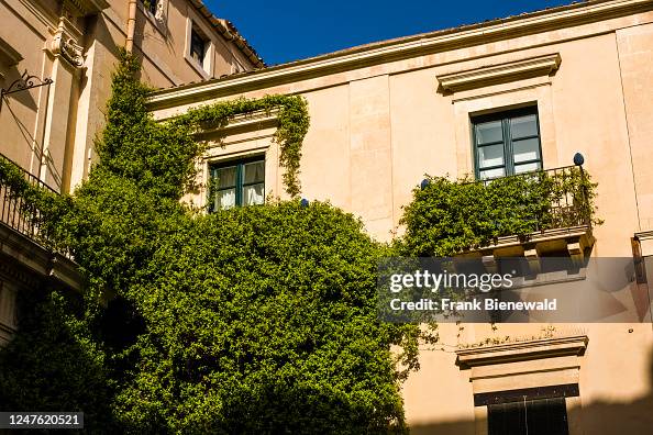 Facade of a house overgrown with ivy (Hedera helix) in the...