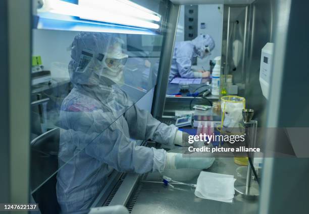 March 2023, Saxony, Leipzig: Employees of the Fraunhofer Institute for Cell Therapy and Immunology IZI work on the pharmaceutical production of cell...