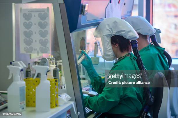 March 2023, Saxony, Leipzig: Employees of the Fraunhofer Institute for Cell Therapy and Immunology IZI conduct research in an S3 safety laboratory on...