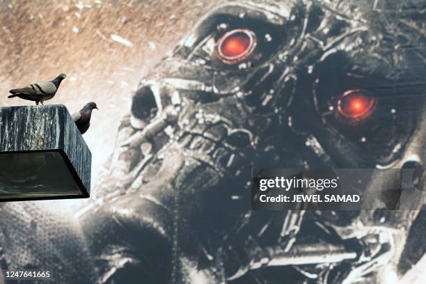 Three pigeons rest on a lamp post in front of a billboard of the upcoming movie "Terminator Salvation" in Hollywood, California, on May 7, 2009. AFP...