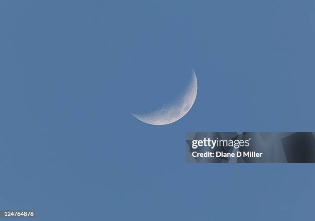 5 days after new moon - crescent fotografías e imágenes de stock