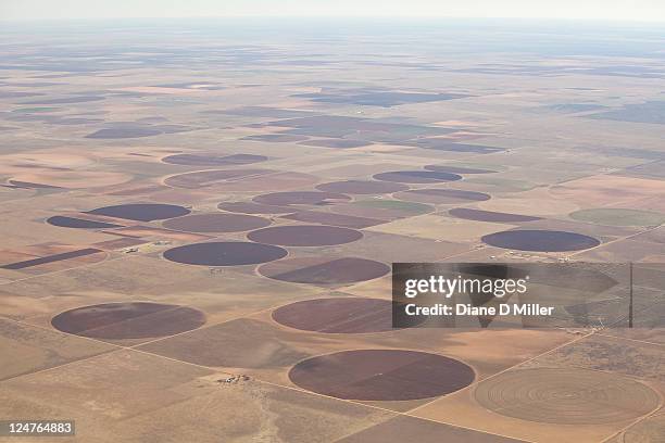 irrigated farms, west texas, usa - texas farm stock pictures, royalty-free photos & images